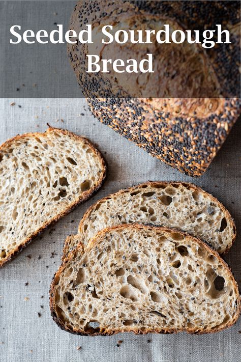 Sourdough Tips And Tricks, Sourdough Crumb Guide, Bread Troubleshooting, Sourdough Bread Machine, Sourdough Tips, Starter Sourdough, Sourdough Breads, Parmesan Bread, Sourdough Bread Starter