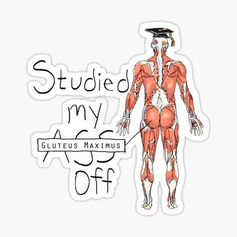 Gluteus Maximus, Doctor Stickers, Medical Stickers, College Stickers, Motivation Wallpaper, Medical Wallpaper, Science Stickers, Nurse Stickers, Medicine Student