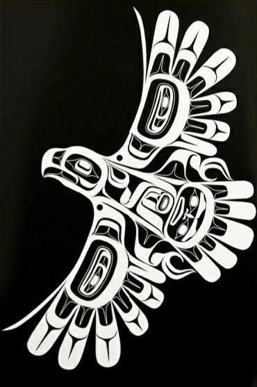 Native Drawings, Arte Haida, Native Artwork, Native Tattoos, Pacific Northwest Art, Haida Art, Native American Symbols, Inuit Art, Native American Design