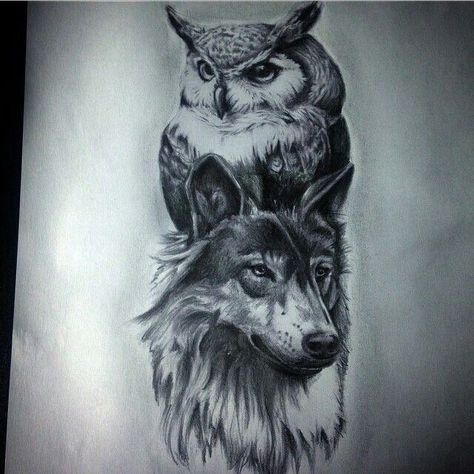 Owl Tattoo Meaning, Tato 3d, Owl Tattoo Drawings, Aries Art, Owl Tattoo Design, Wolf Tattoo Design, Tattoo Collection, Tattoo Project, Wolf Tattoos