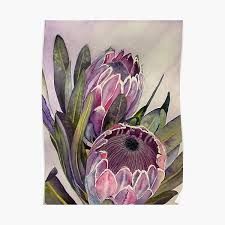 Flower Watercolour, Protea Art, Protea Flower, Australian Flowers, Australian Native Flowers, Vertical Poster, Ink Drawings, The Loop, Art Plastique