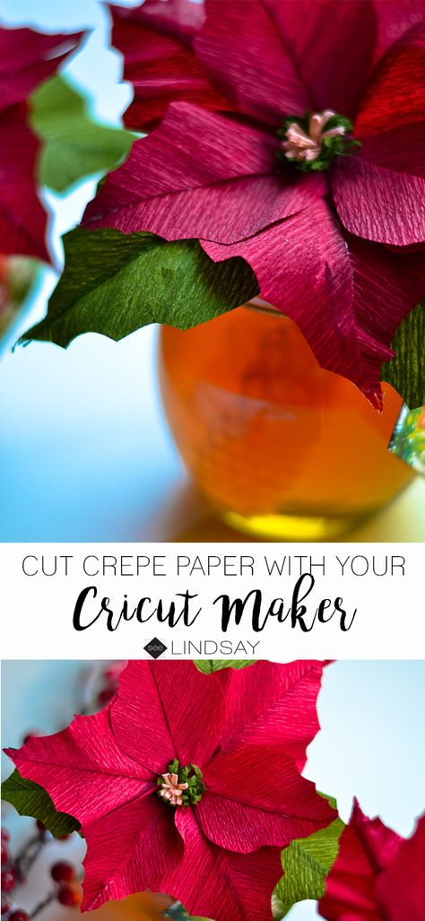 How To Cut Crepe Paper with Cricut - seeLINDSAY Poinsettia Crepe Paper Flowers, Crepe Paper Poinsettia, Cricut Poinsettia, Paper Poinsettia Flower Diy, Cricut Mountain, Cricut Materials, Paper Poinsettia, Scrapbook Tools, Crepe Flowers