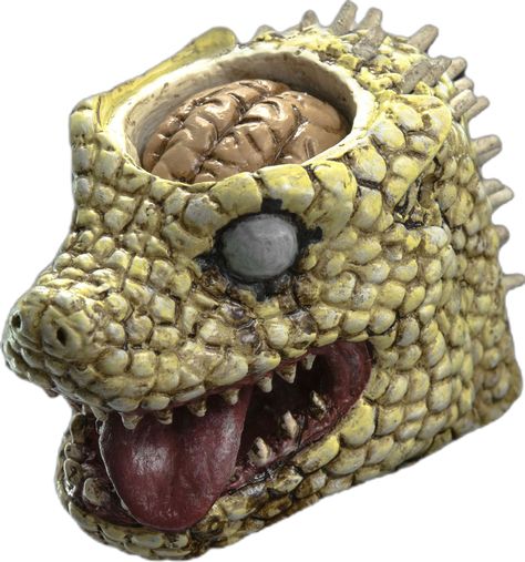 #Dorohedoro #Caiman collectible stands 36cm (14.7”) tall.Lizard head features exchangeable face parts;comes loaded with weapons,and we didn't forget to include bento box with gyoza! Pre-order threezerostore Exclusive Dorohedoro Caiman version, starting from September 30th 9:00AM HK at www.threezerostore for USD210 with Worldwide Shipping included.Full info and 39 high-res images: https://www.facebook.com/media/set/?set=a.1207117082647451.1073741935.697107020315129&type=1&l=60796474d0 #threezero Dorohedoro Caiman, Caiman Dorohedoro, Face Parts, Muddy Buddies, Dragon Artwork, Haikyuu Manga, Love Bugs, Monster Hunter, Bento Box