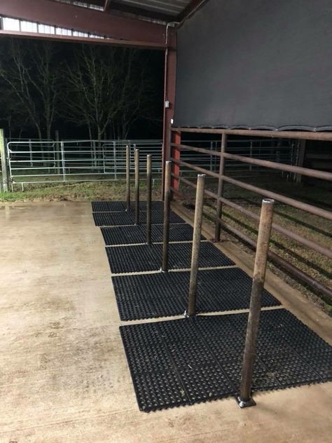 Wash rack Livestock Pens Ideas, Pig Wash Rack, Show Cattle Wash Rack, Livestock Wash Rack, Cattle Wash Rack Ideas, Wash Rack For Cattle, Cattle Wash Rack, Show Barn Ideas Cattle, Show Cattle Barn Layout