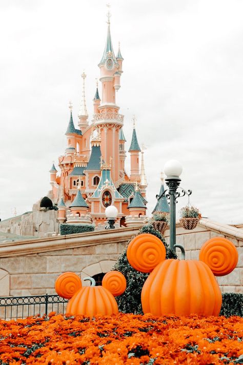 Disney World Fall Aesthetic, Disney Fall Aesthetic, Disneyland Paris Halloween, Disney October, Disneyland October, Disney Autumn, Spooky Disney, Fall Disney, Disney World Aesthetic