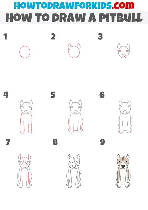 Pitbull Drawing Reference, How To Draw A Pitbull, Drawing Pitbull, Pitbull Dog Drawing Easy, Cute Pitbull Drawing, Pitbull Doodles, How To Draw Pitbull Step By Step, Pitbull Drawing, Chihuahua Drawing