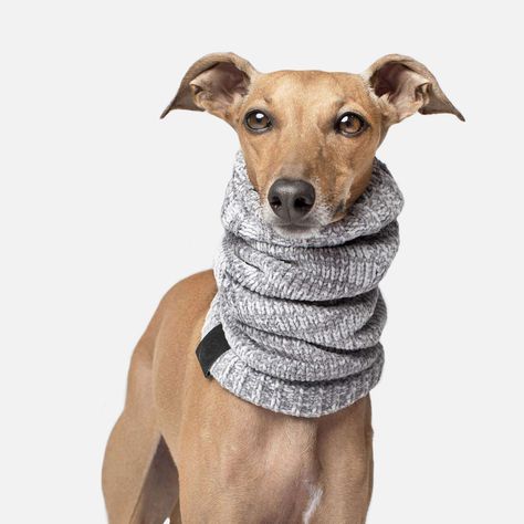 Scarves in Chenille Grey, Canada Pooch Dog Scarf Dog Merch, Crochet Dog Sweater Free Pattern, Canada Pooch, Dog Neck Warmer, Knitted Dog Sweater Pattern, Knitted Dog, Dog Sweater Pattern, Scarf Collection, Crochet Dog Sweater