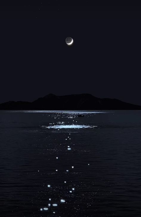 Abstract Horse Art, Moon Sea, Night Sky Moon, Moonlight Photography, Night Sky Photography, Water Aesthetic, Moon Aesthetic, Moon Photos, Scenery Photography