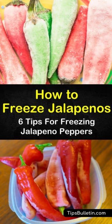 Can You Freeze Jalapenos Whole, Jalapeno Freezing, Recipes Using Jalapeno Peppers, Can You Freeze Jalapeno Peppers, Frozen Jalapeno Recipes, Freeze Jalapenos How To, Uses For Jalapeno Peppers, Freezing Jalapeños, How To Freeze Jalapeno Peppers