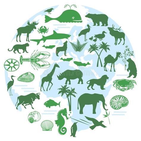 Animals and biodiversity. Illustration of different animals and biosystems , #AFF, #biodiversity, #Animals, #Illustration, #biosystems, #animals #ad Animal Conservation Art, Biodiversity Conservation, Conservation Art, Lab Activities, Animal Conservation, Earth Art, Wildlife Conservation, Stencil Art, Environmental Science