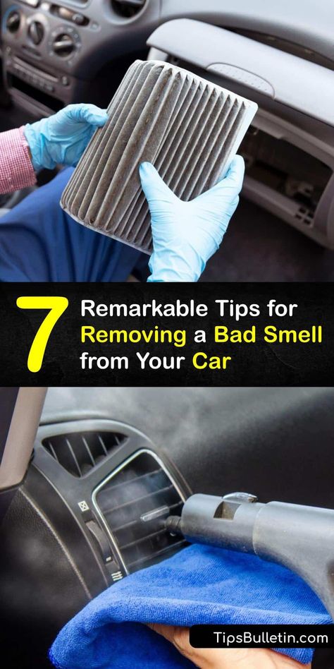 Whether it’s cigarette smoke or dog odor, a car smell is unpleasant. Remove a bad smell from your car cabin and upholstery using simple products like baking soda and white vinegar, and clean your cabin air filter to keep the air fresh. #remove #bad #smell #inside #car Car Smell Good Hacks, Car Odor Eliminator Diy, How To Make Your Car Smell Good, Car Smell Hacks, How To Keep Car Smelling Good, Best Way To Clean Inside Of Car, Car Basics, Cleaning Purses, Clean Car Interior