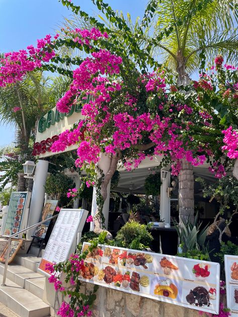 #ayianapa #cyprus #vacation #pinkflowers #restaurant #summer Ayia Napa Cyprus Nightlife, Aiya Napa Cyprus, Ayia Napa Aesthetic, Aiya Napa, Cyprus Aesthetic, Insta Dump, Ayia Napa Cyprus, Nissi Beach, Mediterranean Vibes