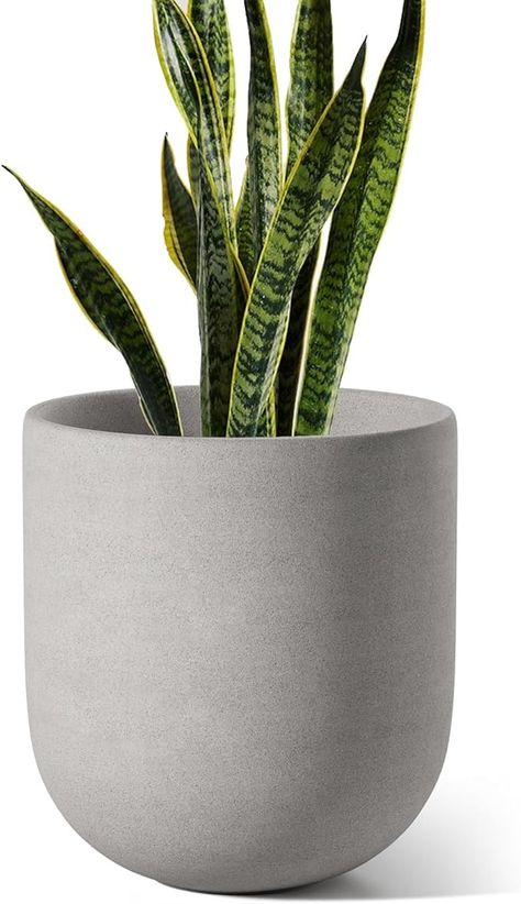 Amazon.com : LE TAUCI 10 Inch Plant Pot, Ceramic Pots for Plants with Drainage Hole and Rubber Plug, Plant Pots Indoor for Home Garden Patio Office, Cylinder Flower Planter Pot, Neutral Gray : Patio, Lawn & Garden Ceramic Pots For Plants, Plant Pot Ceramic, Gray Patio, Patio Office, Inch Plant, Pots For Plants, Pot Ceramic, Ceramic Pots, Flower Planters