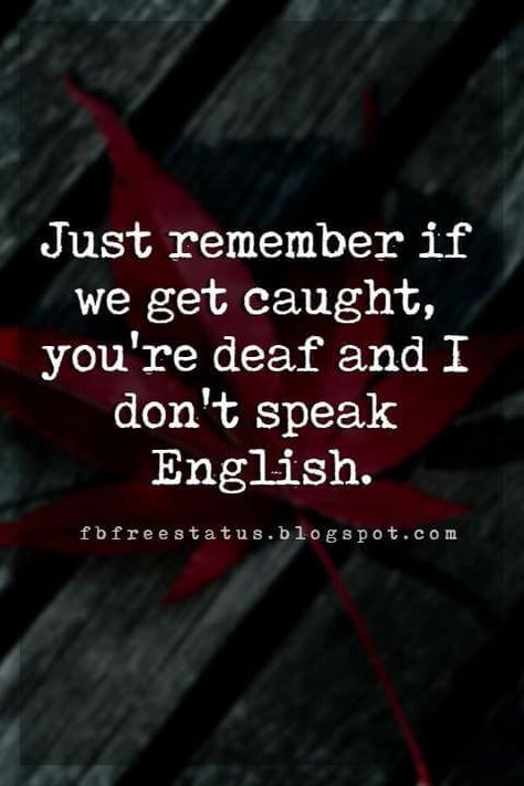 funny friendship quotes, Just remember if we get caught, you're deaf and I don't speak English. Girlfriend Quotes Friendship, Crazy Friend Quotes, Funny Friendship Quotes, True Friends Quotes, Funny Friendship, True Friendship Quotes, Girlfriend Quotes, Best Friendship Quotes, Friendship Humor