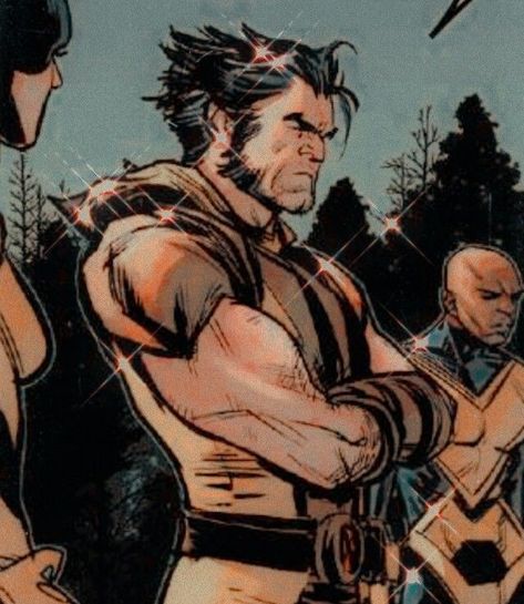 Wolverine Comic Icons, Wolverine Xmen Comics, Comic Wolverine, Wolverine Fanart, Wolverine Pictures, Wolverine Comic Art, Wolverine Xmen, Logan Howlett, Marvel Wolverine