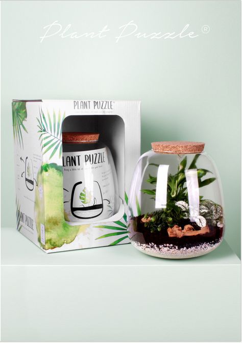 Terrarium Packaging, Terrarium Gifts, Plant Terrarium, Terrariums Kits, Candle Jar, Diy Plants, Ecosystem, Terrarium, Candle Jars