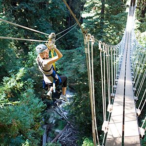 Felton, CA day trip: You can experience Felton's redwoods up close by zipline through Redwood Canopy Tours. Felton California, Mount Hermon, The Redwoods, California Travel Road Trips, Pacific Coast Highway, California Dreaming, California Adventure, Newport Beach, California Travel