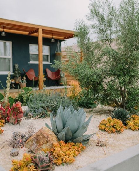 Desert Landscape Front Yard, Desert Backyard, Sunset Magazine, Front Yard Design, Desert Garden, Desert Homes, Home Landscaping, Yard Design, Succulent Garden