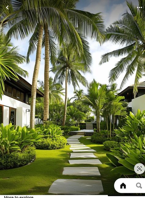 Lush Tropical Garden, Bali Landscape Tropical Gardens, Palm Garden Design, Tropical Resort Landscape Design, Rectangular Backyard Ideas, Villa Garden Design Landscaping, Landscaping With Palms, Palm Tree Landscape Ideas, Palm Tree Garden Ideas