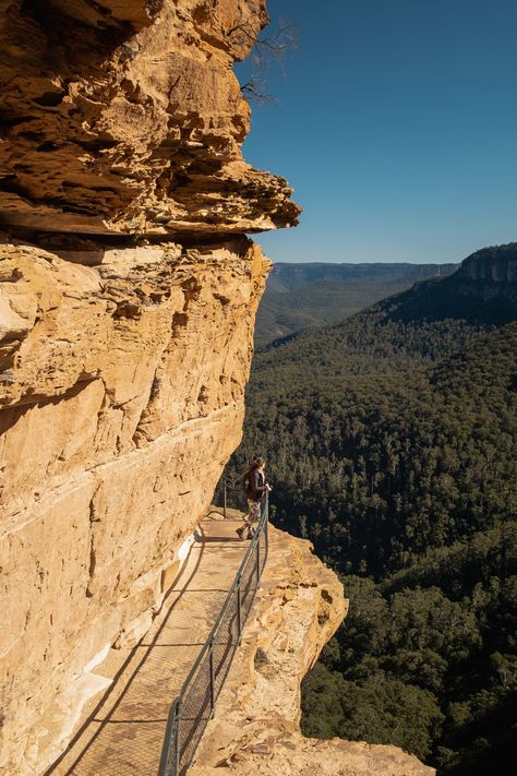 A day in the Blue Mountains - Echo Point, Wentworth Falls & Empress Falls - 365 THRIVE Oceania Travel, Train Times, Fall Hiking, The Blue Mountains, Blue Mountains, Trail Maps, Blue Mountain, Picnic Area, Island Life