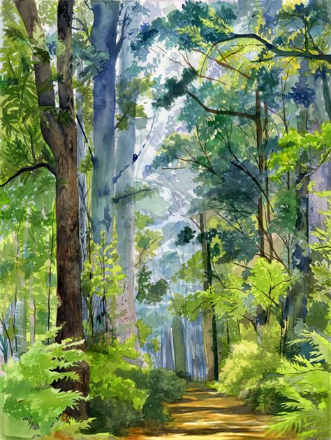 Forest Watercolor on Behance Forest In Watercolor, Spring Landscape Watercolor Painting, Watercolor Magic Forest, Forest Scene Painting, Watercolor Forest Paintings, Watercolour Forest Painting, Watercolor Background Landscape, Forest Scenery Drawing, Forest Painting Watercolor