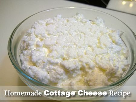 Homemade Cottage Cheese Recipe Making Cheese At Home, Labneh Recipe, Homemade Cottage Cheese, Recipes With Parmesan Cheese, Cheese At Home, Feta Cheese Recipes, Making Cheese, Scitec Nutrition, Lemon Blueberry Muffins