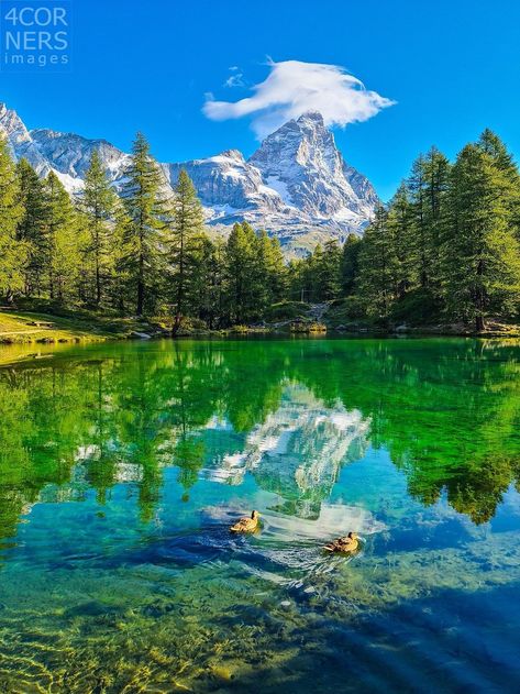 Italy Aosta Valley, Valle d'Aosta Alps, Matterhorn (4478m)Aosta district Valtournenche Breuil-Cervinia Mount Cervino (Matterhorn) at dawn is reflected in Lake Azzurro with two ducks, near Breuil-Cervinia #travelinspiration #travelaesthetic #landscapephotography #mountainlove Italy Travel Photography, Dolomites Italy, Scenic Pictures, Travel Trip, Beautiful Scenery Nature, Beautiful Picture, Alam Yang Indah, Beautiful Mountains, Beautiful Nature Pictures