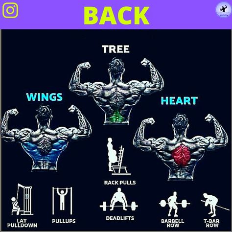 What can you upgrade?! Share below! ➖➖➖➖➖➖➖➖➖➖➖➖⁠ 📲Follow @karan_health_and_fitness29 ➖➖➖➖➖➖➖➖➖➖➖➖⁠ .⁠ .⁠ .⁠ .⁠ .⁠ .⁠ #chestworkout #legsworkout #backworkout #gymadvice #gymtips #gymday #gymfreaks #fitboys #fitgirlcode Back Weight Exercises, Muscles Of The Back, Exercises For Strength, Back Workout Bodybuilding, Bodyweight Back Workout, Free Weight Workout, Lat Pulldowns, Back Workout Routine, Chest Workout At Home