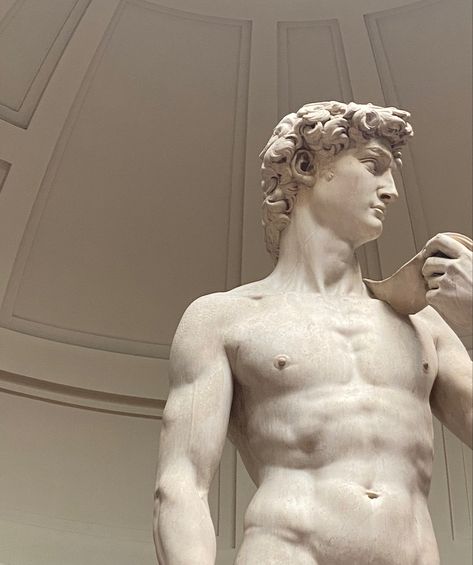 #michelangelo #davidstatue #italy #florence #firenze #art #statue #uffizigallery #uffizi Michelangelo Art, Italy Florence, Art Statue, Uffizi Gallery, Florence, Vision Board, Statue, Italy, Black