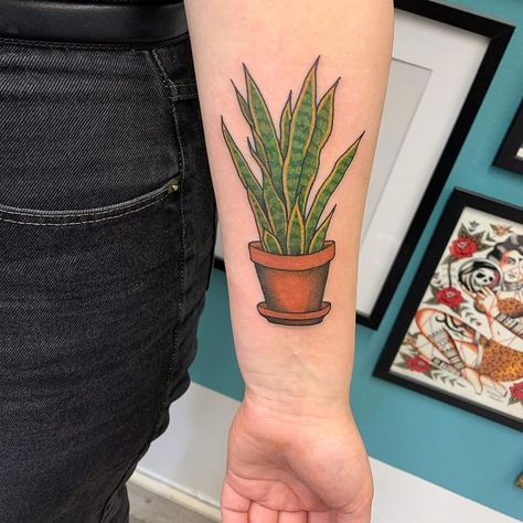 Mexican Plant Tattoo, American Traditional Potted Plant Tattoo, House Plant Tattoo Ideas, Snake Plant Tattoo, Potted Plant Tattoo, Talavera Tattoo, Houseplant Tattoo, House Plant Tattoo, Succulent Tattoo