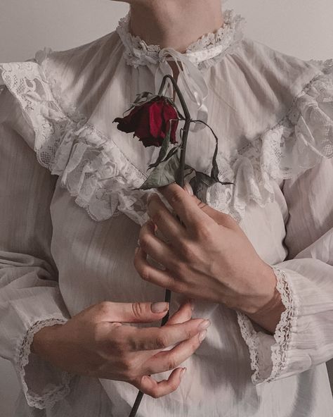 A woman in a white shirt holding a red rose photo – Free Iran Image on Unsplash Giving Roses To Her, Iran Vintage, Korea Nail Art, Nail Art Fall, Free Iran, Korea Nail, Rose Reference, Fall Backgrounds, Backgrounds Vintage