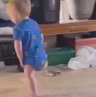 Ben Obianozie on Instagram: "Little kids cursing always cracks me up!😂 Reposted @tallfulla Funny Toddlers Part 4 - The swearing / bad language edition. #funny #funnytoddlers #swearing #kids #toddlers" Kids Swearing Videos, Kids Swearing, Funny Toddler Videos, Funny Toddlers, Annoying Kids, Toddler Videos, Bad Language, Toddler Humor, Cuss Words