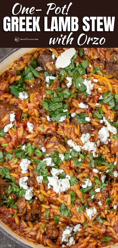 Beef And Orzo, Simple Tomato Sauce, Recipes Winter, Lamb Stew Recipes, Greek Lamb, Easy Tomato Sauce, Slow Cooked Meat, Orzo Recipes, Lamb Dishes