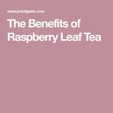 The Benefits of Raspberry Leaf Tea Raspberry Tea Benefits, Benefits Of Raspberry Leaf Tea, Rasberry Leaf Tea, Raspberry Leaf Tea Benefits, Raspberry Leaf Tea Pregnancy, Raspberry Cream Cheese Muffins, Raspberry Leaves, Low Sugar Jam, Raspberry Plants