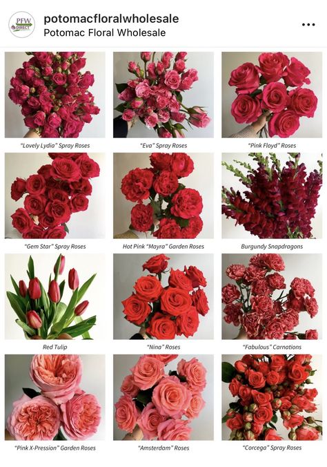 Peony Flower Aesthetic, Flower Charts, Floral Recipes, Bouquet Business, Victorian Gothic Wedding, Flower Chart, Flower Types, Flower Varieties, Flower Guide