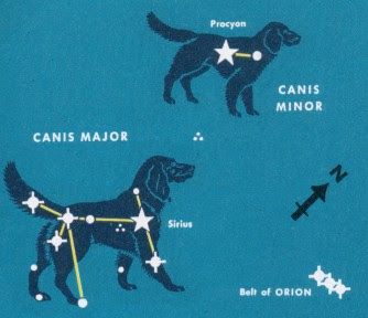 Constellation of the Month: Canis Major with Canis Minor - See Miss Meek-oo-r with See Miss Men-oo-r, Anciently Maidens changed into dogs by vicious Juno. Jupiterios should exile Juno, his wife who got rid of most women like using Tethysos with Oceanios for her personal vengence. Astronomy Crafts, Canis Major, Astronomy Tattoo, Sirius Star, Stars Constellations, Orion's Belt, Constellation Art, Arte Indie, Astronomy Lover