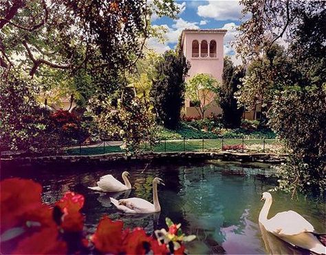 hotel bel air - where we had our wedding reception on halloween. we lined the bridge with white pumpkins. Bel Air Hotel, Bel Air Los Angeles, Air Garden, Hotel Bel Air, Los Angeles Hotels, Beautiful Hotels, Swans, Bel Air, Los Angeles California