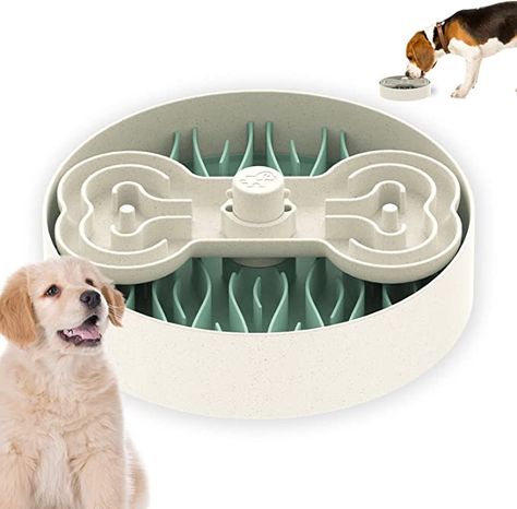 Slow Feeder Dog Bowls, Puzzle Food, Safe Green, Slow Feeder Dog, Different Types Of Dogs, Food Bowls, Cat Puzzle, Dog Puzzles, Dog Food Bowls