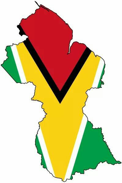 I want the Guyana map with the flag's Color for a tattoo Guyanese Tattoo Ideas, Guyana Tattoo, Guyana Map, Guyanese Flag, Sick Mind, South America Flag, Brunei Travel, Measure Of A Man, Guyana Flag