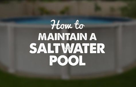 Learn all you need to know about how to maintain a saltwater above ground pool in this article written by our saltwater pool experts. Maintenance made easy! Swimming Pool Heater, Swimming Pool Heaters, Salt Water Pool, Pool Sand, Living Pool, Pool Care, Stock Tank Pool, Tank Pool, Pool Chlorine