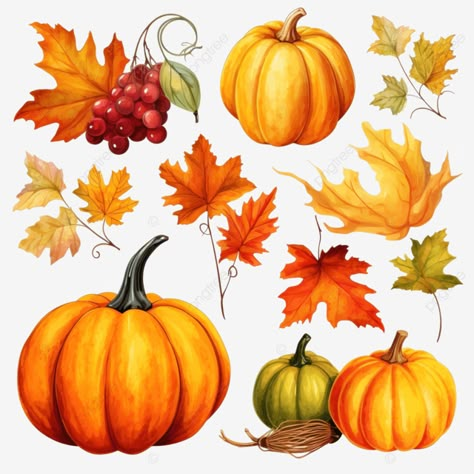 set with autumn colorful leaves pumpkin and fruit happy thanksgiving give thanks thanksgiving back Fall Watercolor Clipart, Turkey Clip Art, Autumn Fruits, Thanksgiving Clip Art, Banner Clip Art, Happy Thanksgiving Images, Thanksgiving Happy, Thanksgiving Background, German Folk