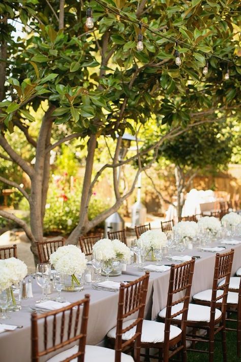 White Hydrangea Arrangements, Hydrangea Centerpiece Diy, Hydrangea Centerpiece Wedding, White Hydrangea Centerpieces, White Hydrangea Wedding, Long Table Wedding, Hydrangea Centerpiece, Hydrangea Arrangements, San Luis Obispo Wedding