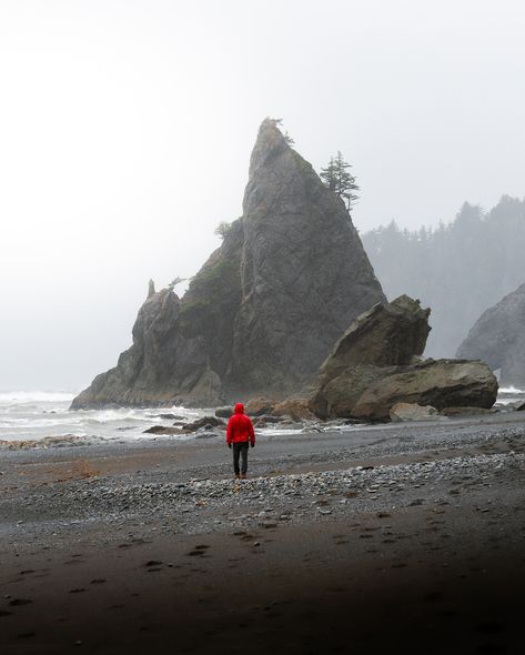 Moody season in the PNW.. 🌲 For those of you that don’t know I grew up in Washington State, and growing up here I always took the natural beauty of Washington for granted. It wasn’t until I started traveling and seeing more places that I started to appreciate PNW more. #pnw #moody #cinematic #sonyalpha #sony Washington Beach Aesthetic, Washington State Nature, Travel Washington State, Washington State Aesthetic, Pacific Northwest Aesthetic, Washington State Forest, Washington Aesthetic, Pnw Summer, Pnw Aesthetic