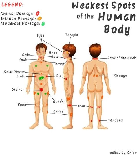 generally used for martial artists or self defense practitioner Weak Points Of Human, Human Pressure Points, Body Science, Useless Knowledge, School Study Ideas, Human Body Anatomy, Study Ideas, School Study, Body Is A Temple