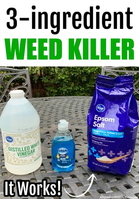 Diy Safe, Killing Weeds, Garden Remedies, Garden Weeds, Safe Water, Garden Yard Ideas, Yard Work, How To Make Diy, How To Make Homemade