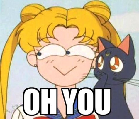 Sailor Moon Season 1, Texting Friends, Sailor Moon Meme, Hero Meme, Sailor Moon Funny, Sailor Moon Quotes, Anime Graphics, Sailor Moon Cat, Moon Kingdom