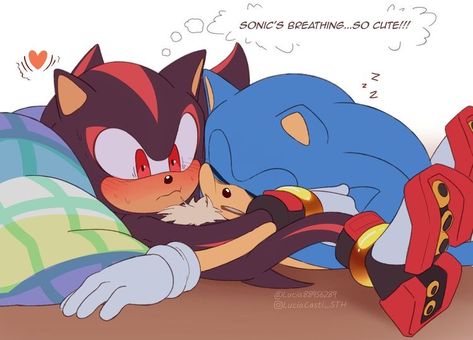 Sonadow Cute, Shadow X Sonic, Sonic X Shadow Fanart, Sonic Shadow, Sonic The Movie, Sonic Funny, Sonic Fan Characters, Sonic Franchise, Sonic Adventure