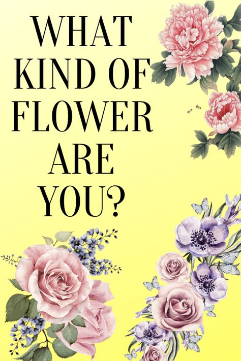 The thing about flowers is that they are all unique in their own ways. Just like you! We will ask you about your hobbies, your habits, your fears, and your joys, and from your answers, the right flower will bloom for you. So go on, take this quiz and find out which flower you are right now! #flowers #beauty #aesthetic #quiz #fun #personality Which Flower Are You Quiz, Which Flower Are You, What Flower Am I, Find My Aesthetic Quiz, Flower Personality, Aesthetic Quiz, Aesthetic Types, Find Your Aesthetic, Recreation Therapy