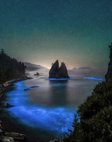 Rialto Beach, Washington. Photo: Mathew Nichols Photography. Rialto Beach Washington, Bioluminescent Algae, Rialto Beach, Olympic National Park, Washington, National Parks, Photography, Travel, Nature