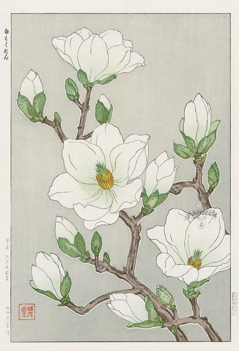 Art Chinois, Illustration Botanique, Japanese Flowers, Arte Sketchbook, Art Japonais, Japanese Woodblock Printing, Japanese Painting, Botanical Drawings, Japan Art